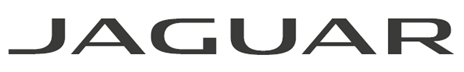 luxury logo